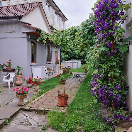 Marco'S Studio Fagaras Exterior photo